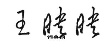 駱恆光王映映草書個性簽名怎么寫