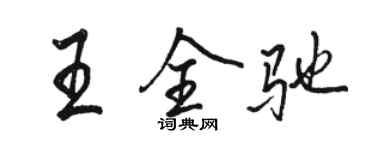 駱恆光王全馳行書個性簽名怎么寫