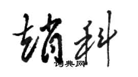 駱恆光趙科草書個性簽名怎么寫