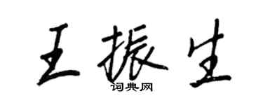 王正良王振生行書個性簽名怎么寫