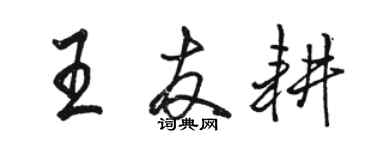 駱恆光王友耕行書個性簽名怎么寫