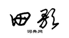 朱錫榮田歌草書個性簽名怎么寫