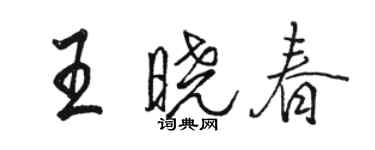 駱恆光王曉春行書個性簽名怎么寫