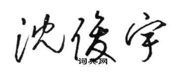 駱恆光沈俊宇草書個性簽名怎么寫