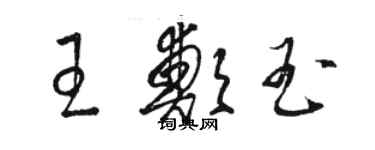 駱恆光王鄭玉草書個性簽名怎么寫