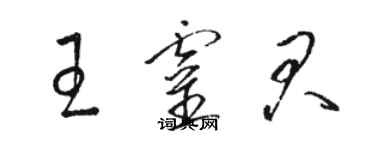 駱恆光王靈君草書個性簽名怎么寫