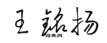 駱恆光王銘揚草書個性簽名怎么寫