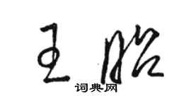 駱恆光王昭草書個性簽名怎么寫