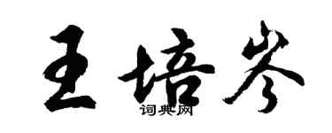 胡問遂王培岑行書個性簽名怎么寫