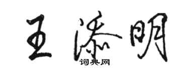 駱恆光王添明行書個性簽名怎么寫