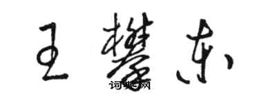 駱恆光王攀東草書個性簽名怎么寫