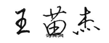 駱恆光王苗傑行書個性簽名怎么寫