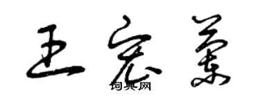 曾慶福王宏蘭草書個性簽名怎么寫