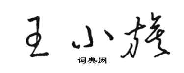駱恆光王小旗草書個性簽名怎么寫