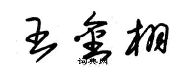 朱錫榮王金栩草書個性簽名怎么寫