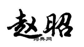 胡問遂趙昭行書個性簽名怎么寫
