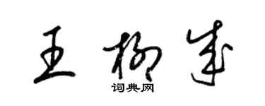 梁錦英王柳成草書個性簽名怎么寫