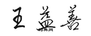 駱恆光王益善行書個性簽名怎么寫