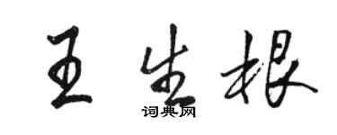 駱恆光王生根行書個性簽名怎么寫