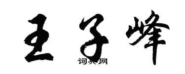 胡問遂王子峰行書個性簽名怎么寫