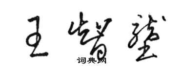 駱恆光王智壟草書個性簽名怎么寫