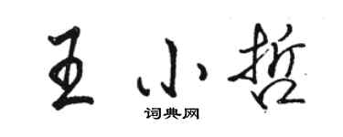 駱恆光王小哲行書個性簽名怎么寫