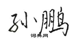 駱恆光孫鵬行書個性簽名怎么寫