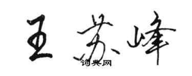 駱恆光王蘇峰行書個性簽名怎么寫