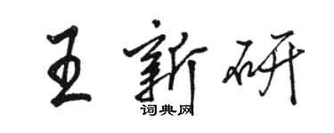 駱恆光王新研行書個性簽名怎么寫