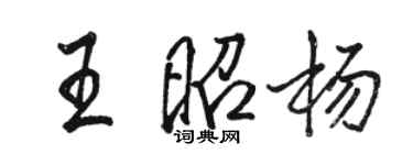 駱恆光王昭楊行書個性簽名怎么寫