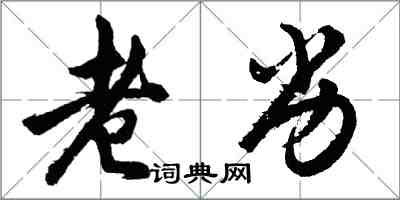 胡問遂老劣行書怎么寫