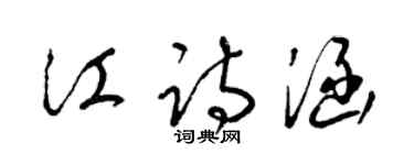 梁錦英江詩涵草書個性簽名怎么寫