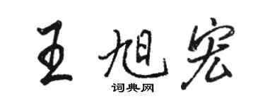 駱恆光王旭宏行書個性簽名怎么寫