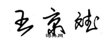 朱錫榮王京斌草書個性簽名怎么寫