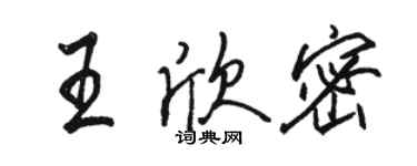 駱恆光王欣密行書個性簽名怎么寫