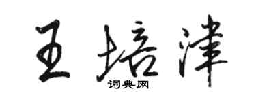 駱恆光王培津行書個性簽名怎么寫