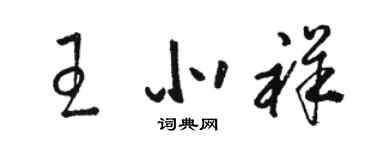 駱恆光王北祥草書個性簽名怎么寫