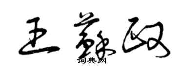 曾慶福王蘇政草書個性簽名怎么寫