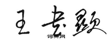 駱恆光王書顯草書個性簽名怎么寫