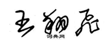 朱錫榮王翔飛草書個性簽名怎么寫