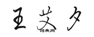 駱恆光王艾夕行書個性簽名怎么寫