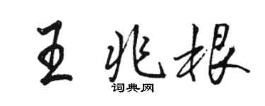 駱恆光王兆根行書個性簽名怎么寫