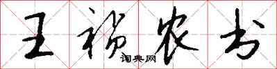 王禎農書怎么寫好看