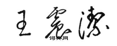 駱恆光王震潔草書個性簽名怎么寫