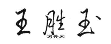 駱恆光王勝玉行書個性簽名怎么寫