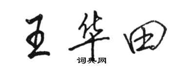 駱恆光王華田行書個性簽名怎么寫