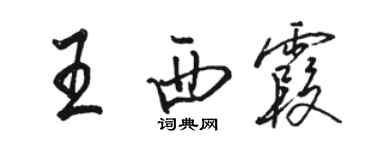 駱恆光王西霞行書個性簽名怎么寫