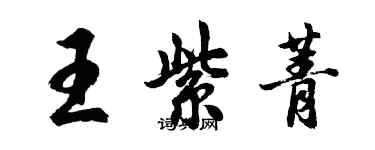 胡問遂王紫菁行書個性簽名怎么寫