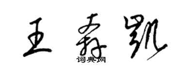 梁錦英王奔凱草書個性簽名怎么寫