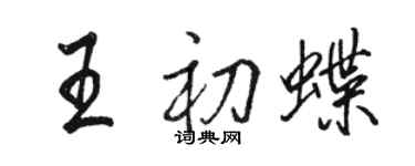 駱恆光王初蝶行書個性簽名怎么寫
